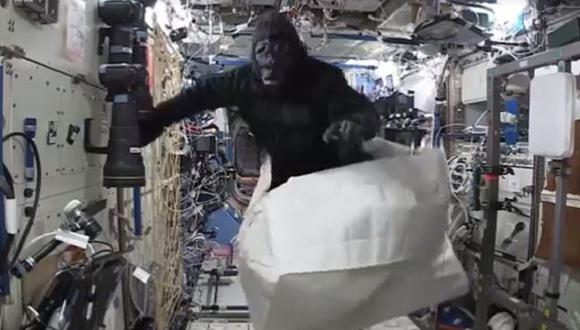 ​¿Un gorila en el espacio? imágenes difundidas por astronauta se vuelve viral