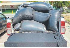Policía incauta 960 kilos de pimienta valorizada en más de 40,000 soles en Sullana