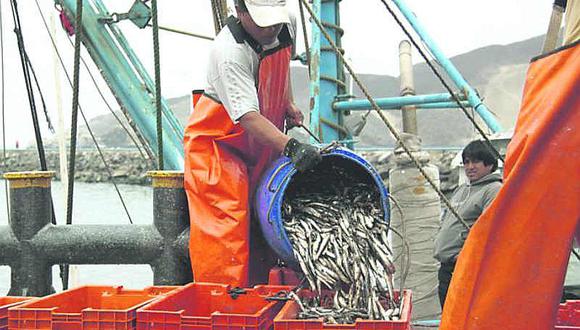 Produce: Seguro para pescadores artesanales llegará al menos a 40 mil