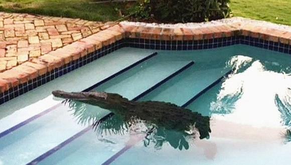 ​Viral de YouTube: Abandonó a su novia tras ver a cocodrilo en piscina (VIDEO)