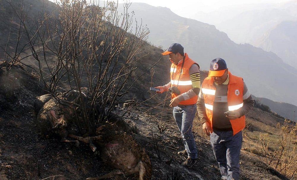 Extinguen incendios forestales en Puno, Apurímac, Cusco y Amazonas