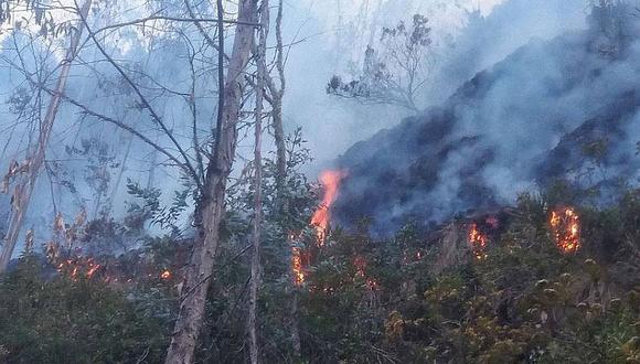 Sandia: piden helicóptero para controlar incendio forestar en selva puneña 