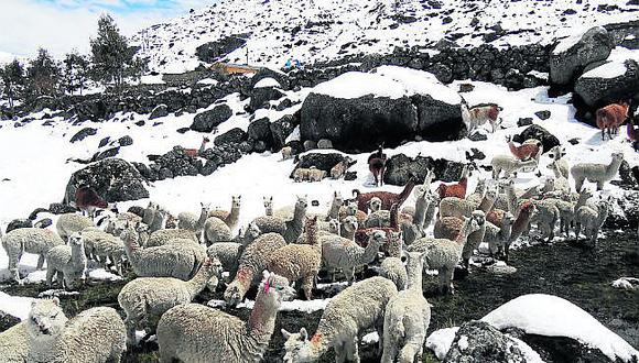Más descensos de temperatura en Arequipa
