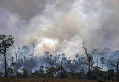 Brasil: deforestación en la Amazonía fue 85% mayor en 2019 que en 2018 (VIDEO)