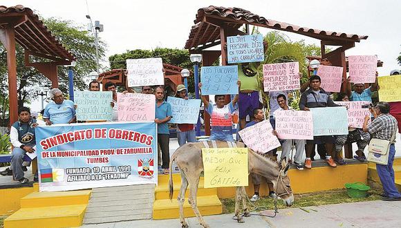Tumbes: Obreros de la municipalidad provincial de Zarumilla protestan con burro en la plaza