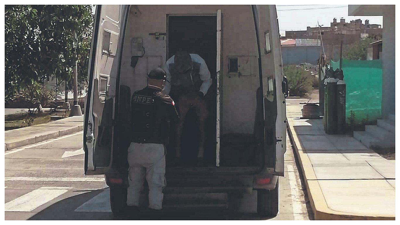 Chimbote: Aumenta el número de reos hospitalizados por coronavirus 