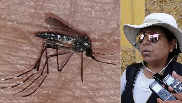 Alerta por presencia del "mosquito de la fiebre amarilla” en Arequipa