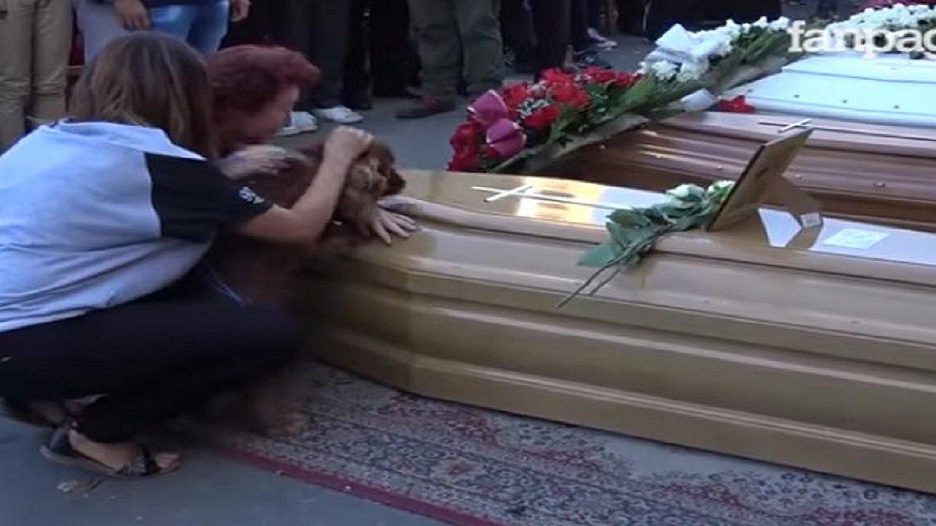 YouTube: perro no deja ataúd de su dueño que murió en sismo de Italia (VIDEO)