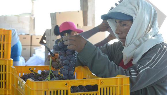 Las uvas lideraron las agroexportaciones en el primer trimestre