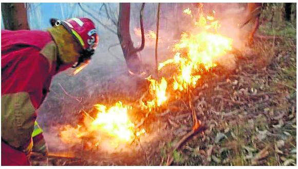 Incendio forestal de más de 28 horas arrasa con pastizal y árboles 