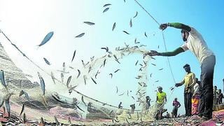 Chimbote: Pescadores artesanales exigen atención al gobierno