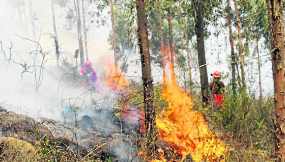 ¡Alarma!: ola de calor propaga incendios forestales en Junín