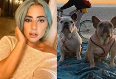 Lady Gaga: Hombre que robó los perros de la cantante es sentenciado a 21 años de prisión 