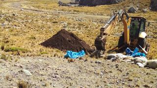 Arequipa: Heladas arrasan más de 20 hectáreas de cultivo en Coporaque