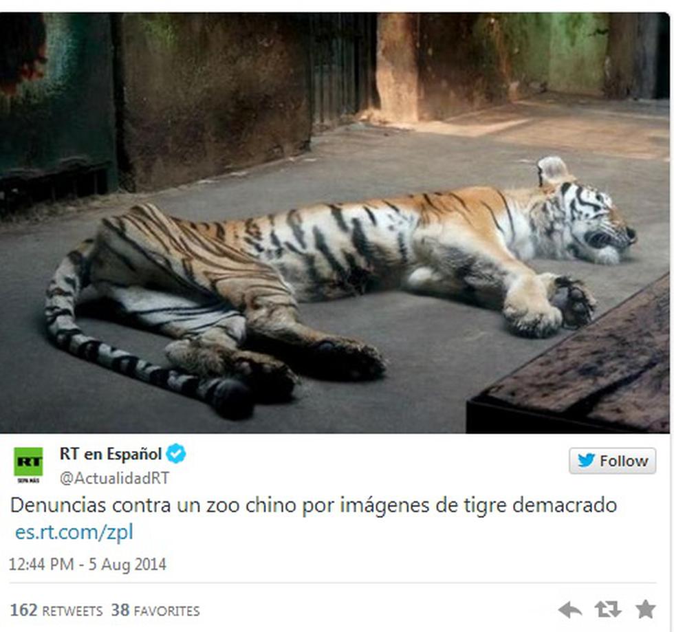 China: Denuncian a zoológico por imágenes de tigre demacrado 
