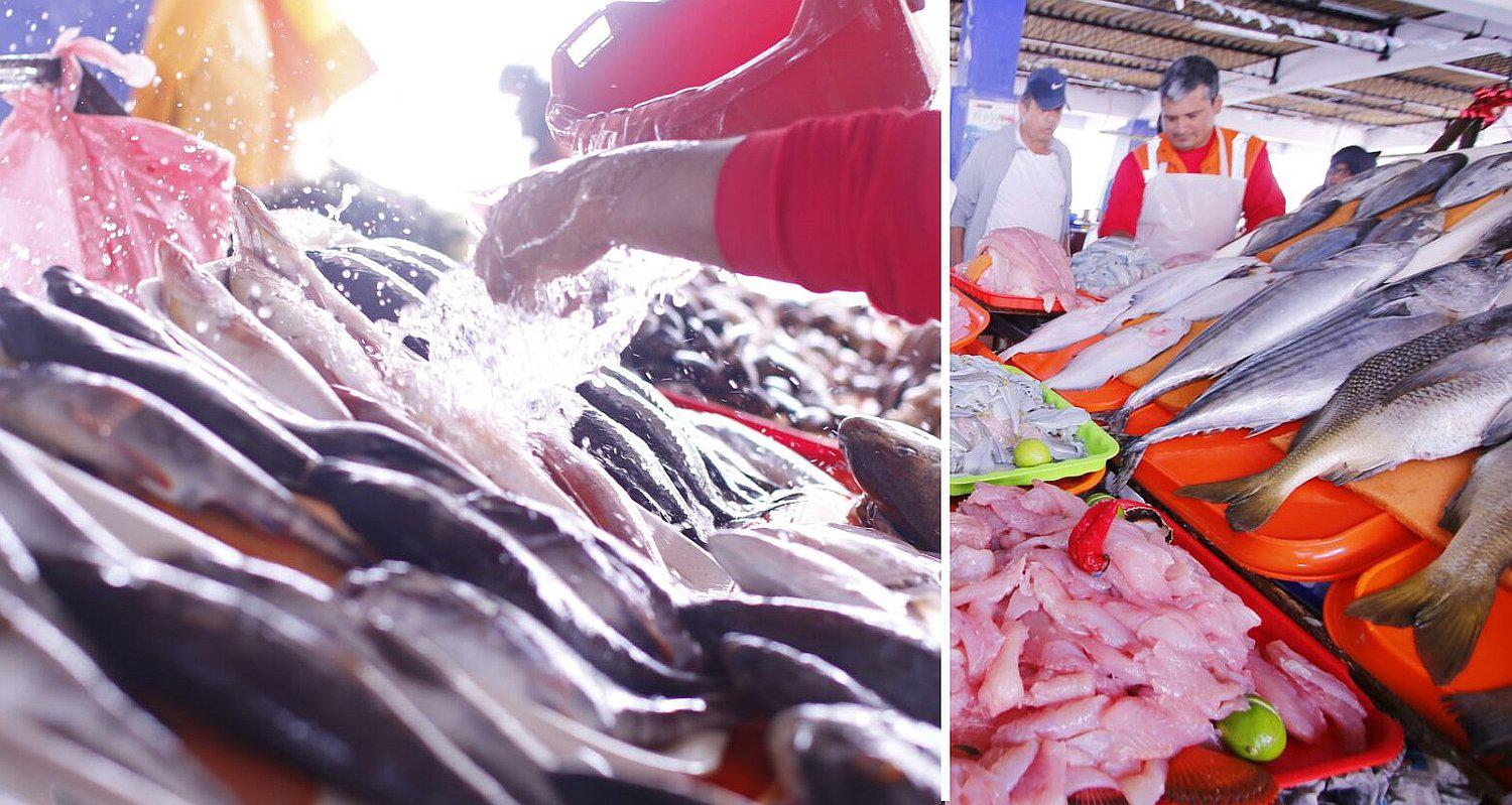 Precio del pescado se incrementa por fenómeno de la Niña Costera 