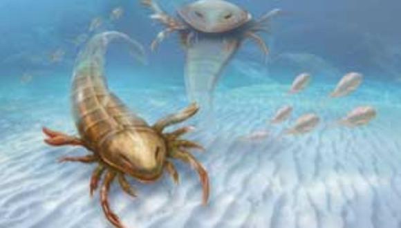 Hallan extinta especie de escorpión de mar