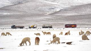 Temperaturas descienden a -20 grados en la sierra central y sur