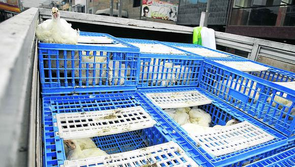 Asaltan camión cargado con pollos en vía Los Libertadores 