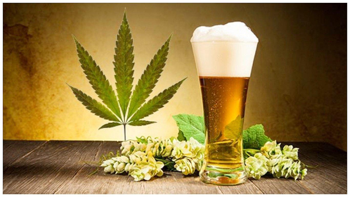 Presentan la primera cerveza con cannabis que se venderá en México 
