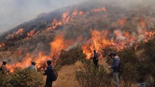 Incendio forestal se propaga por tres distritos en Cusco (VIDEOS)