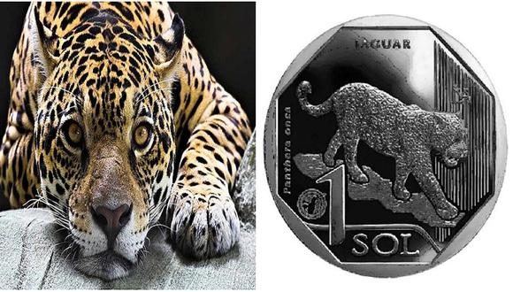 BCR pone en circulación moneda de S/ 1 en homenaje al jaguar (FOTO)