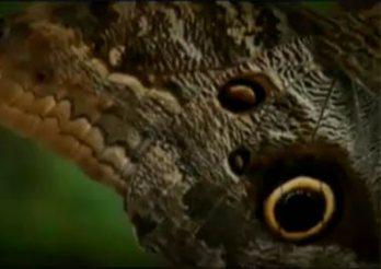 Orgullosos de ser Peruanos: "Hay un Perú para cada quién"