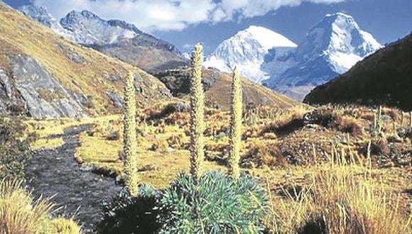Áncash: Tres montañistas ecuatorianos se extraviaron en nevado Huascarán