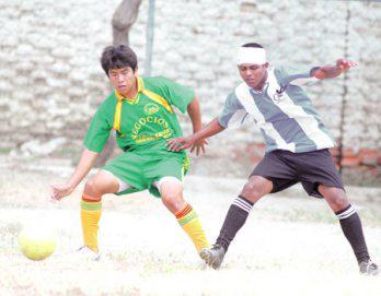 Chocan los gallinaceros
