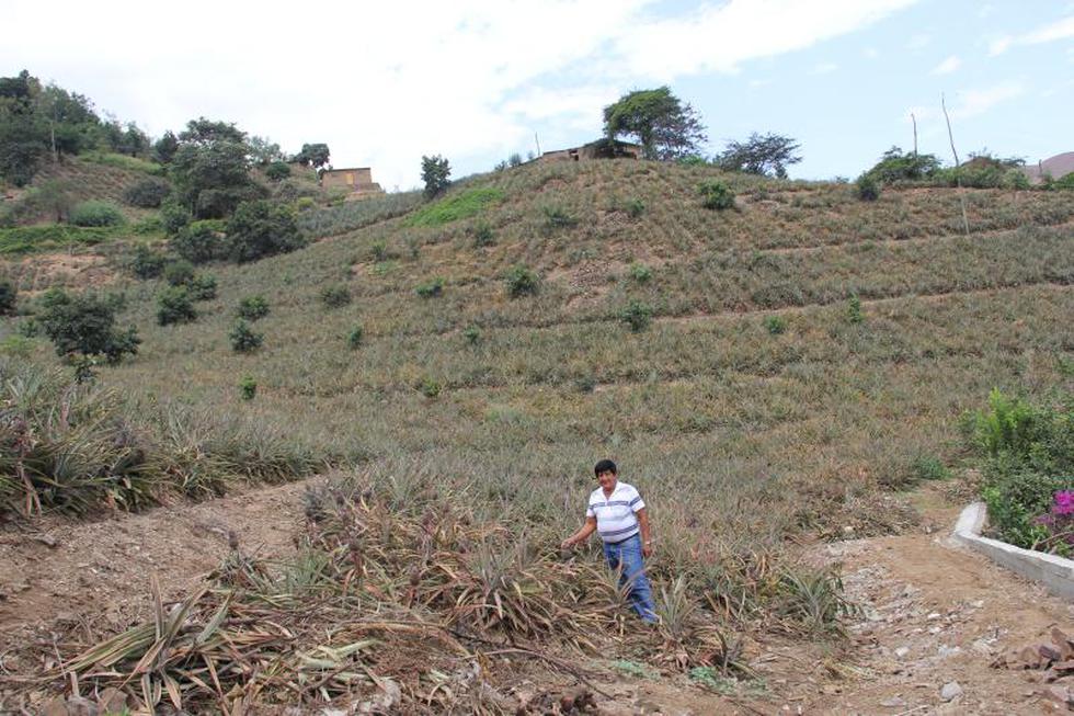 Poroto, destino turístico recomendado en Semana Santa (FOTOS)