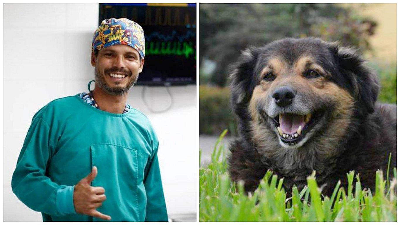 'Perrovaca': Veterinario Pancho Cavero revela que está al cuidado de mascota símbolo de San Marcos