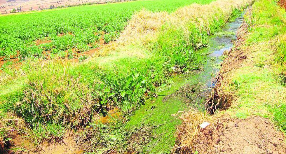 Agricultores pierden cultivos por contaminación Perú | Correo