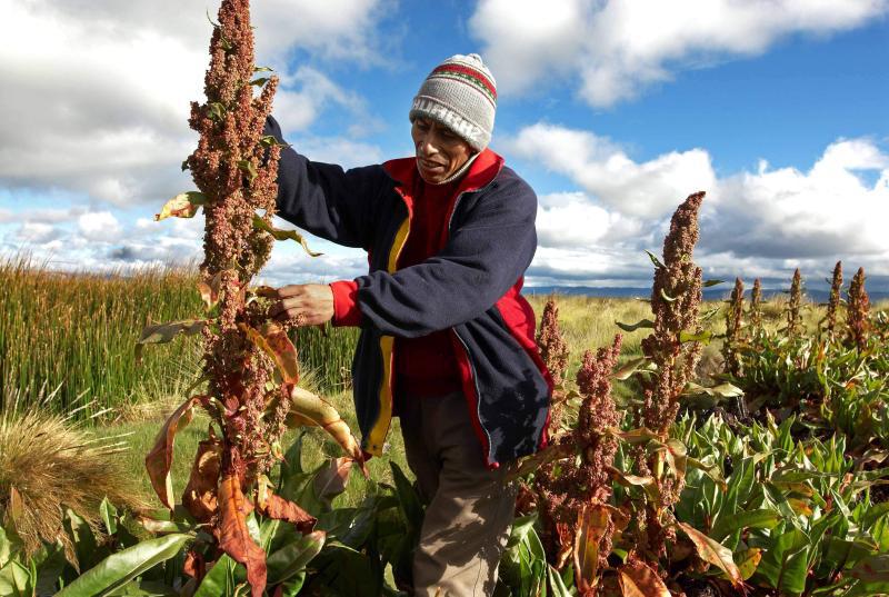 70% de población se dedica a agricultura en Huancavelica