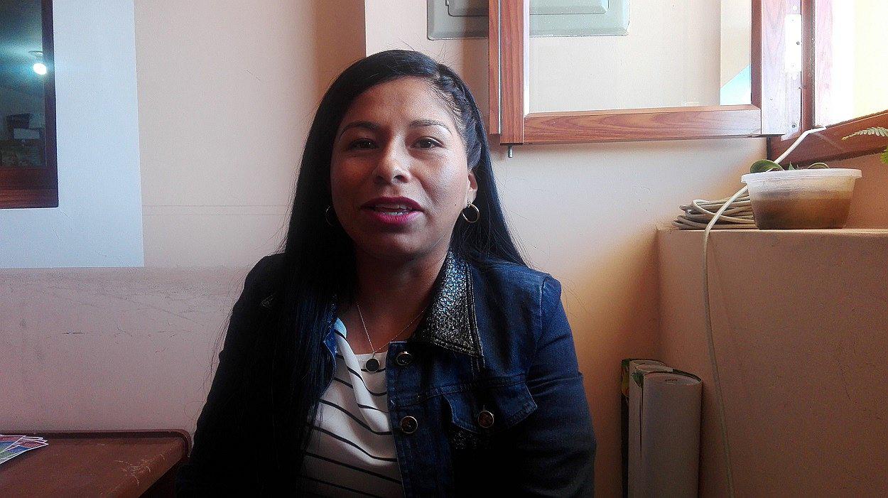 Consejera Borda dice que colegio Mirtha Jerí no se ejecutará este año