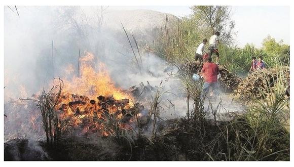 Tres incendios forestales en Motupe