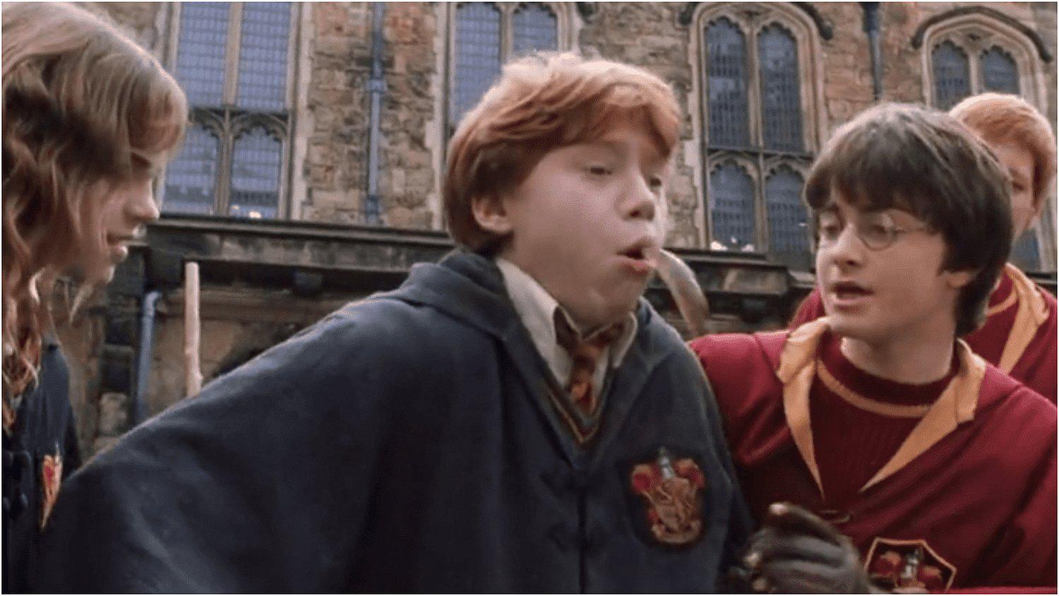 Revelan grotesco secreto de la historia de Harry Potter 