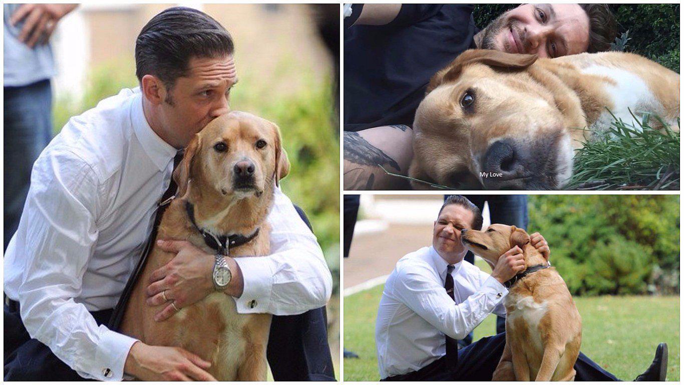 Tom Hardy despide a su fiel perro "Woody" con una conmovedora carta (VIDEO)