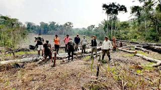 Deforestaron más de seis hectáreas de bosques para actividades agrícolas en la región San Martín 