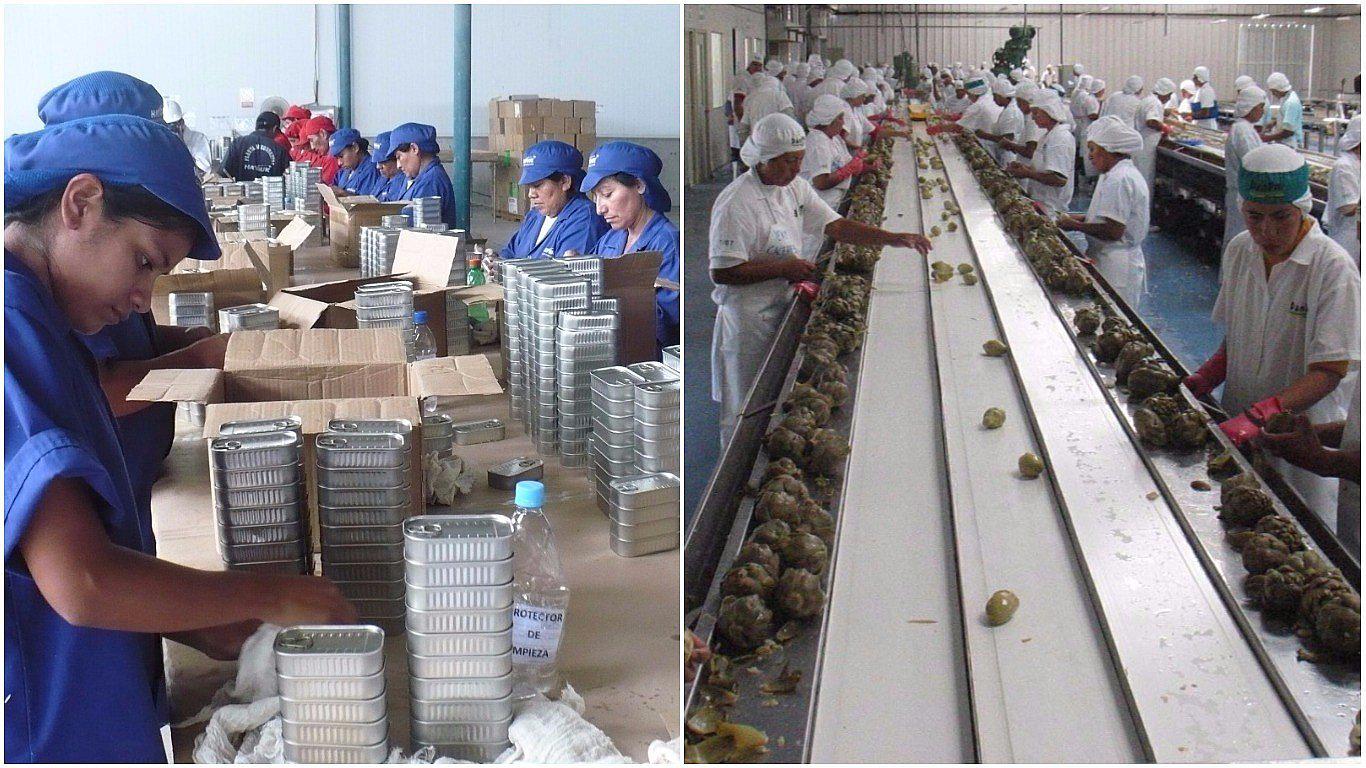 Mientras Perú importa carne de pescado de Asia, empresas nacionales están a punto de cerrar