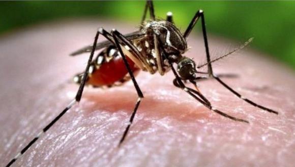 Biólogos descubren nuevo método para que los mosquitos no detecten a los humanos