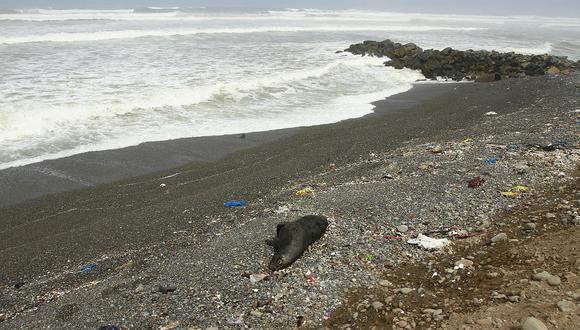 Contaminación del mar del callao es 169 veces mayor a lo permitido