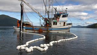 Creación de la Reserva Nacional Dorsal de Nasca corre riesgos por la pesca de bacalao