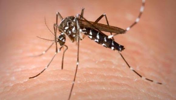 ​Fenómeno El Niño: ¿Cómo prevenir el dengue?