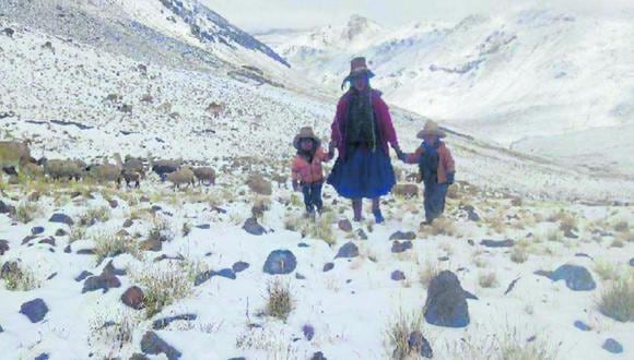 Se esperan temperaturas bajo los 6 grados bajo cero en la sierra de Arequipa que afectarán a la población. Además, se esperan fuertes vientos. (Foto: Difusión)