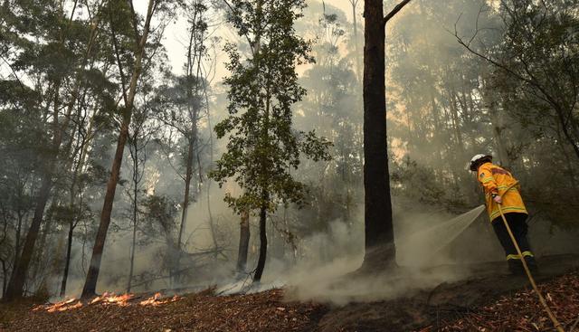 El daño es extenso en casi todo el territorio de Australia. Una de las áreas más perjudicadas son Isla Canguro y el estad Nueva Gales del Sur. (Foto: AFP)