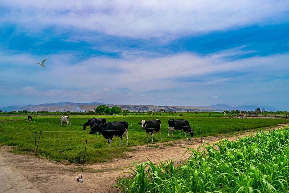 Punta de Bombón y sus playas de calidad (FOTOS)