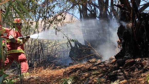 Bomberos apagan incendio forestal en Moquegua (Video)