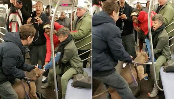 Pitbull muerde a mujer al interior de un tren en EE.UU. (VIDEO)