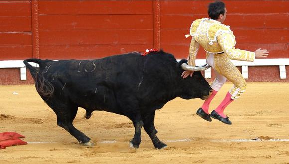 Un toro corneando a un torero español. | Foto: AFP