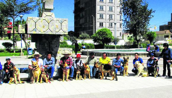 Crean brigada de pastores alemanes en Huancayo